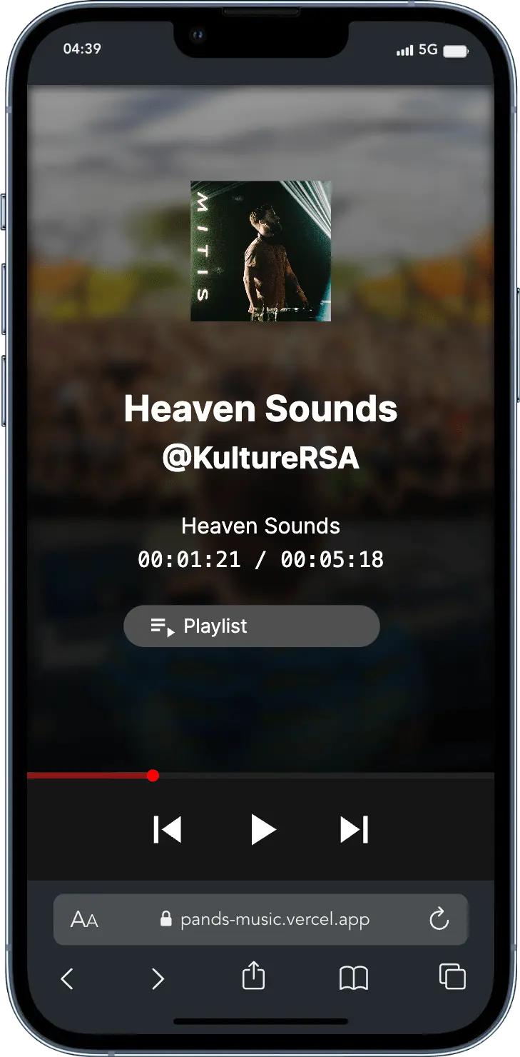 Audio playing progress indicator, Buffered audio indicator, Volume control, Audio seek control